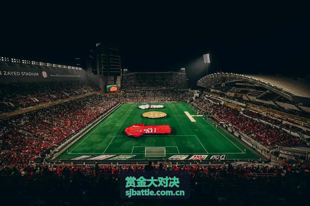 赏金大对决深度资讯合集封面